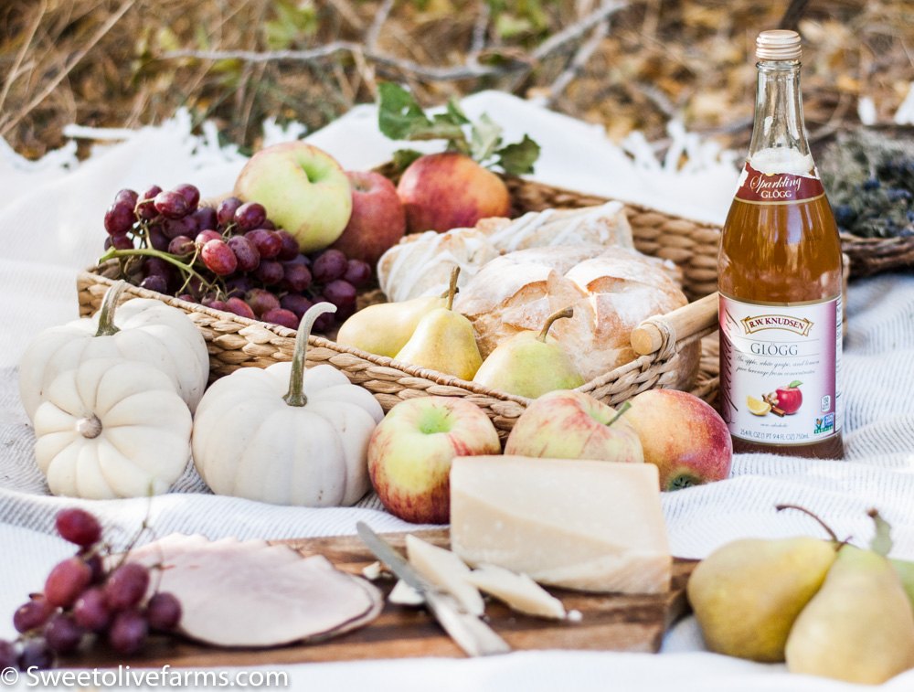 11 Beautiful Fall Picnic Ideas with Pictures - Sweet Olive Farms